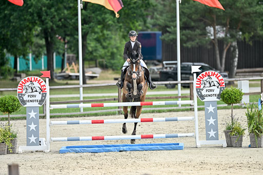  | 29062025 Springen CCI2 L _175 