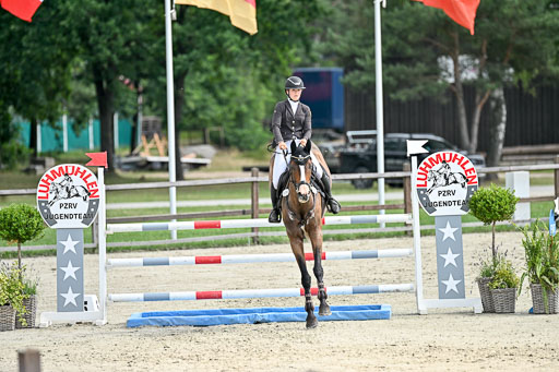  | 29062025 Springen CCI2 L _176 