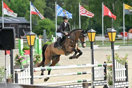  | 29062025 Springen CCI2 L _177 