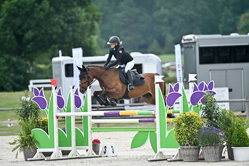  | 29062025 Springen CCI2 L _180 