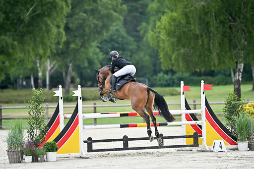  | 29062025 Springen CCI2 L _181 