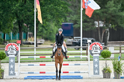  | 29062025 Springen CCI2 L _183 