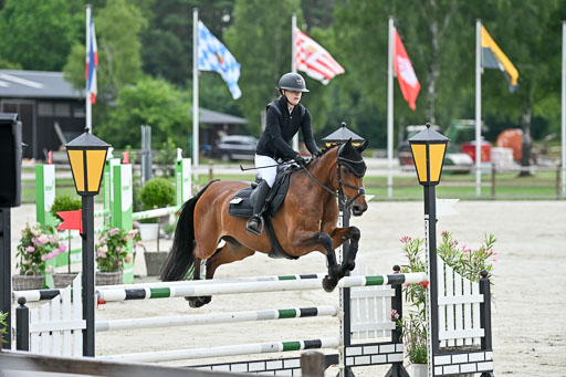  | 29062025 Springen CCI2 L _185 