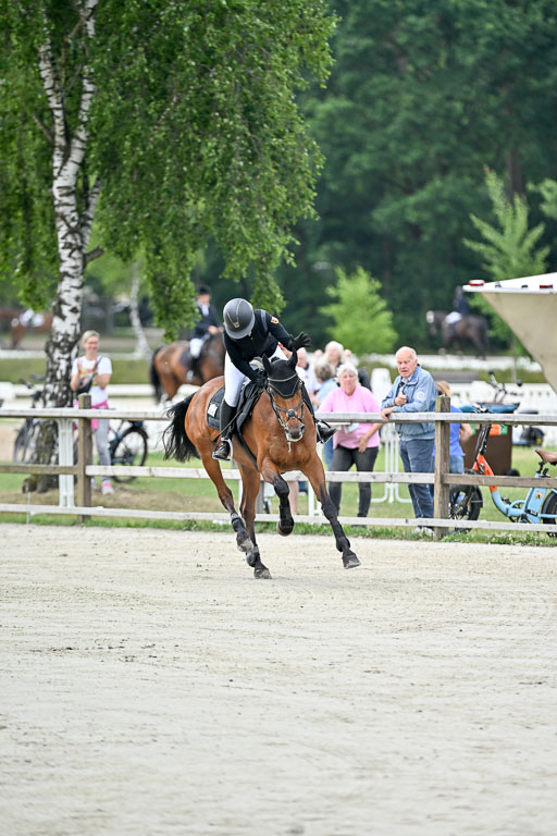  | 29062025 Springen CCI2 L _188 