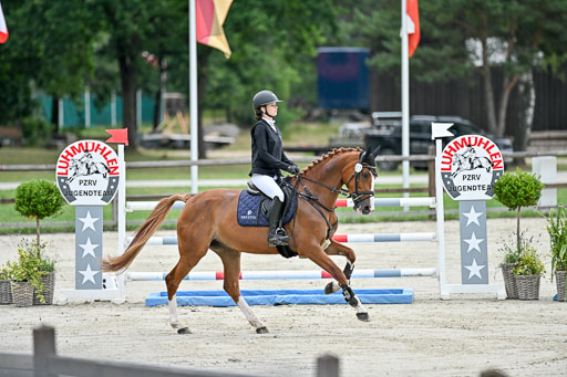  | 29062025 Springen CCI2 L _189 