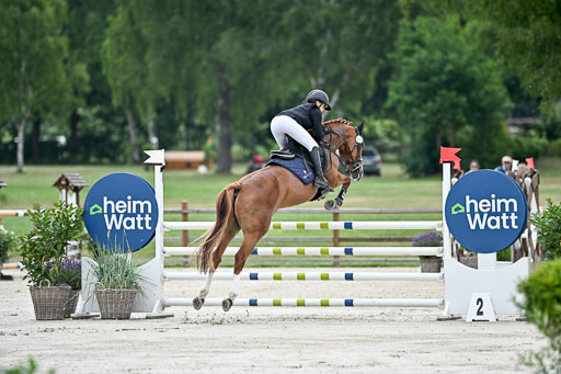  | 29062025 Springen CCI2 L _190 