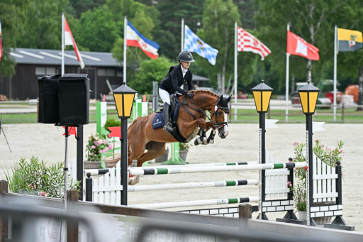  | 29062025 Springen CCI2 L _193 