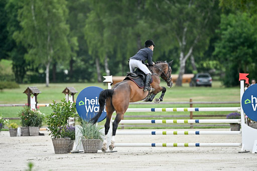  | 29062025 Springen CCI2 L _197 