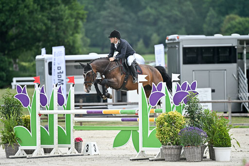  | 29062025 Springen CCI2 L _198 