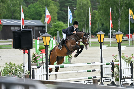  | 29062025 Springen CCI2 L _201 
