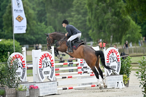  | 29062025 Springen CCI2 L _204 