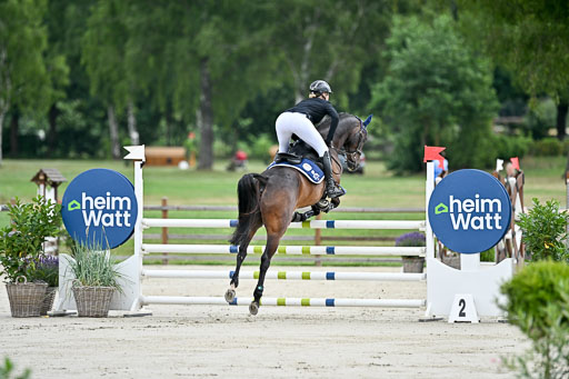  | 29062025 Springen CCI2 L _205 