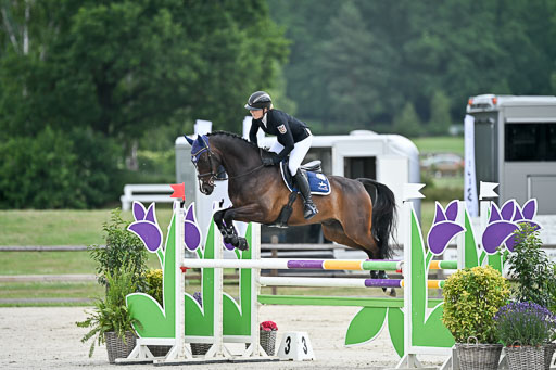  | 29062025 Springen CCI2 L _207 