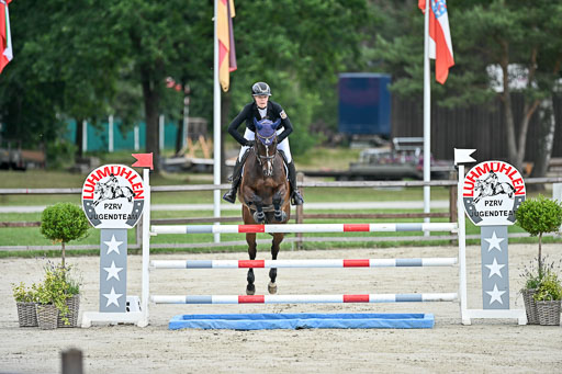  | 29062025 Springen CCI2 L _209 