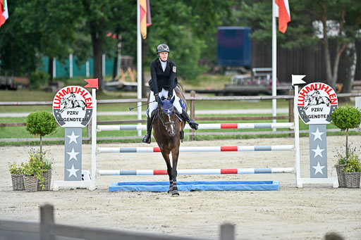  | 29062025 Springen CCI2 L _210 