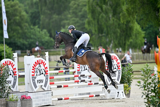  | 29062025 Springen CCI2 L _214 