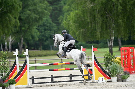  | 29062025 Springen CCI2 L _219 