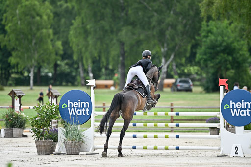  | 29062025 Springen CCI2 L _225 