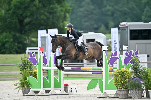  | 29062025 Springen CCI2 L _227 