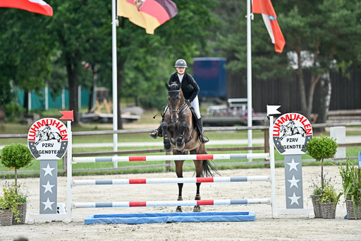  | 29062025 Springen CCI2 L _229 