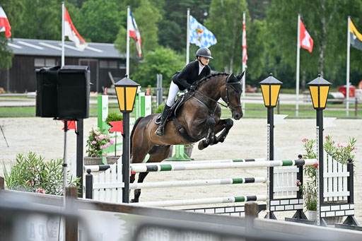  | 29062025 Springen CCI2 L _230 