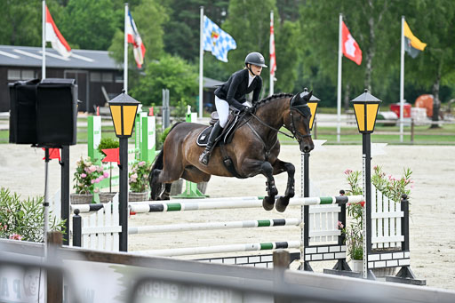  | 29062025 Springen CCI2 L _231 