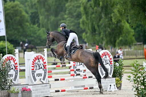  | 29062025 Springen CCI2 L _232 