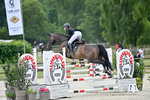  | 29062025 Springen CCI2 L _233 