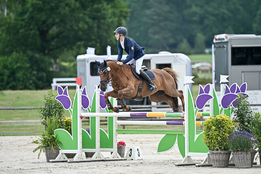  | 29062025 Springen CCI2 L _236 