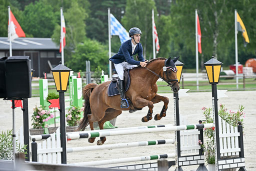  | 29062025 Springen CCI2 L _238 