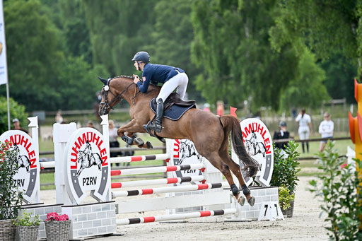  | 29062025 Springen CCI2 L _239 