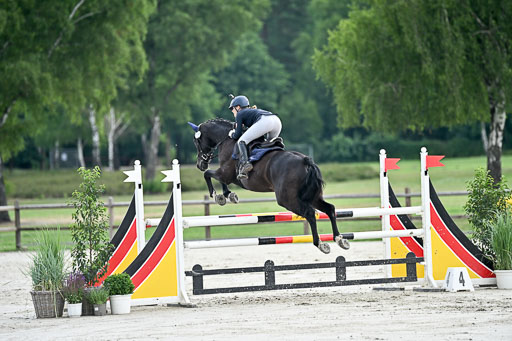  | 29062025 Springen CCI2 L _241 