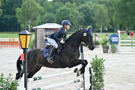  | 29062025 Springen CCI2 L _246 