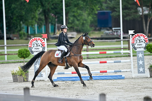  | 29062025 Springen CCI2 L _248 