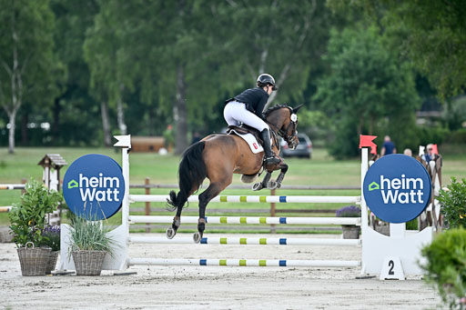  | 29062025 Springen CCI2 L _249 