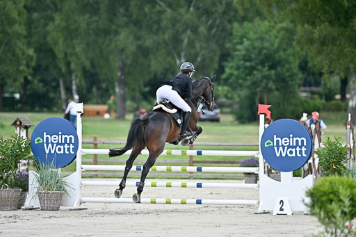  | 29062025 Springen CCI2 L _256 