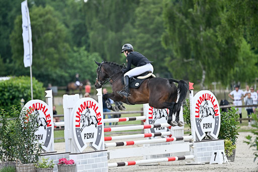  | 29062025 Springen CCI2 L _262 