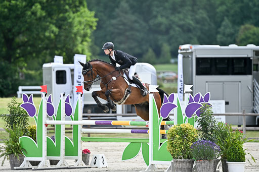  | 29062025 Springen CCI2 L _264 