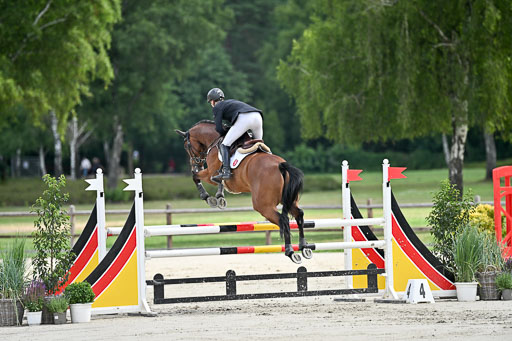  | 29062025 Springen CCI2 L _265 