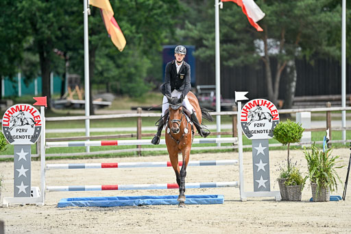  | 29062025 Springen CCI2 L _266 