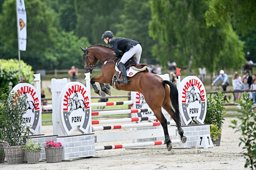  | 29062025 Springen CCI2 L _270 