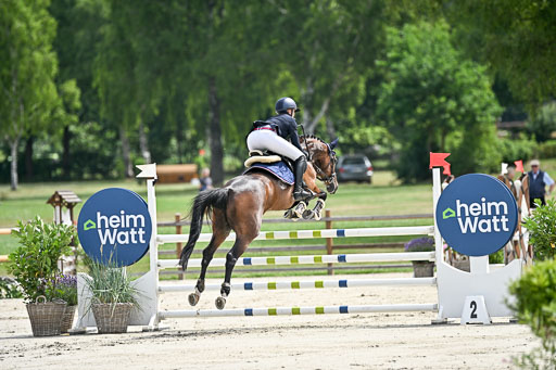  | 29062025 Springen CCI2 L _271 