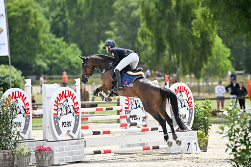  | 29062025 Springen CCI2 L _277 