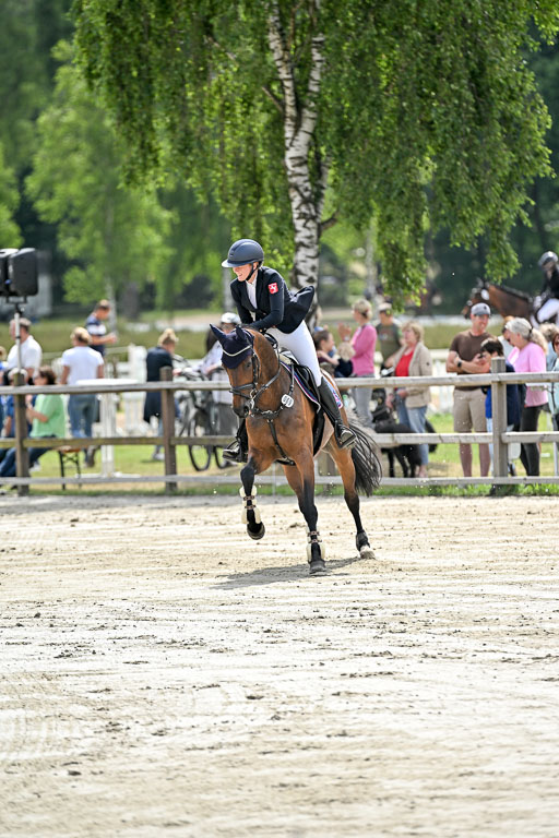  | 29062025 Springen CCI2 L _278 