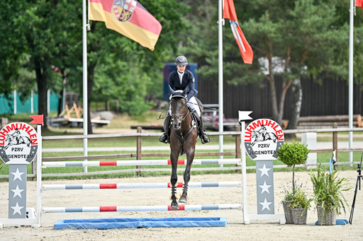  | 29062025 Springen CCI2 L _280 