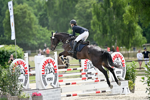  | 29062025 Springen CCI2 L _283 