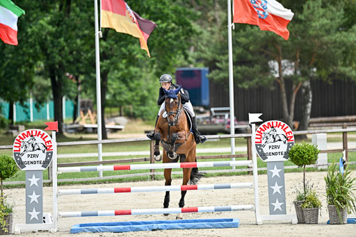  | 29062025 Springen CCI2 L _288 