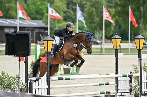  | 29062025 Springen CCI2 L _289 