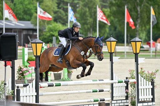  | 29062025 Springen CCI2 L _290 