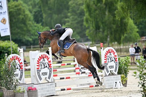  | 29062025 Springen CCI2 L _292 